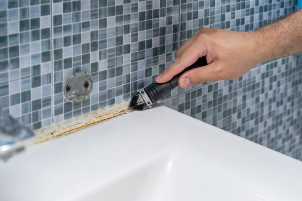 Best Mold Remediation Services  in La Paloma, TX